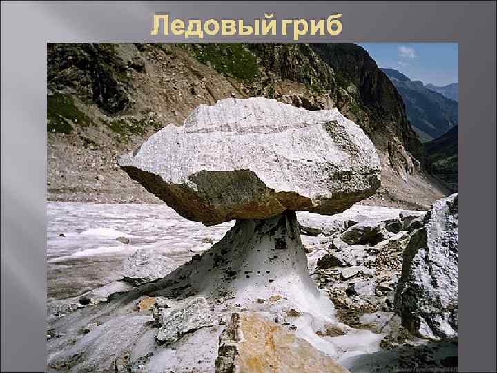 Ледовый гриб 