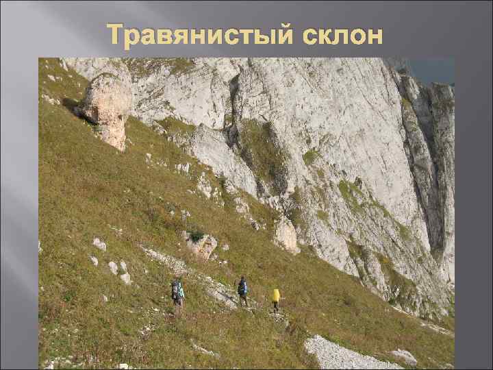 Травянистый склон 