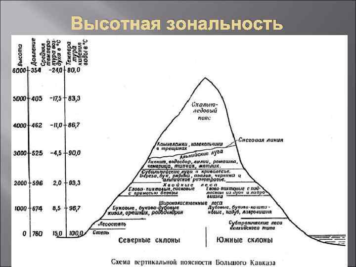 Высотная зональность 