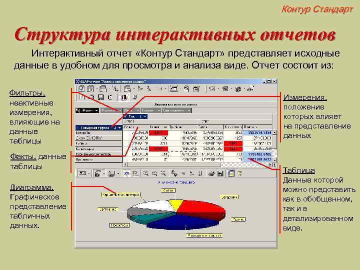 Контур Стандарт Структура интерактивных отчетов Интерактивный отчет «Контур Стандарт» представляет исходные данные в удобном