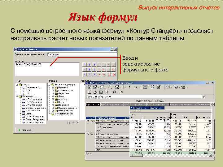Выпуск интерактивных отчетов Язык формул С помощью встроенного языка формул «Контур Стандарт» позволяет настраивать