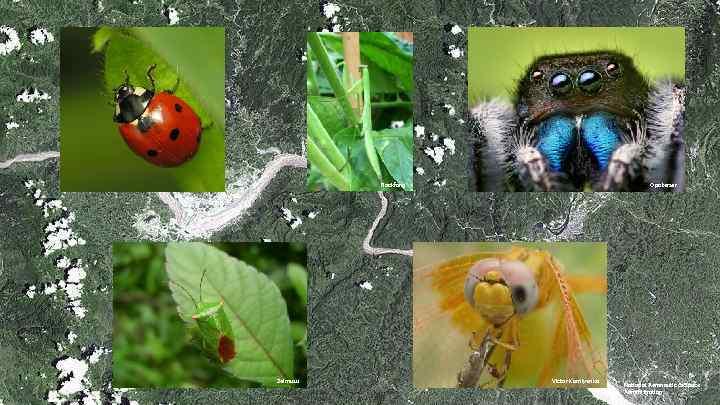 Rockfang Zeimusu Opoterser Victor Korniyenko National Aeronautic & Space Administration 