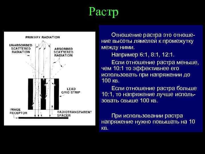 Растр Отношение растра это отношение высоты лямелей к промежутку между ними. Например 6: 1,