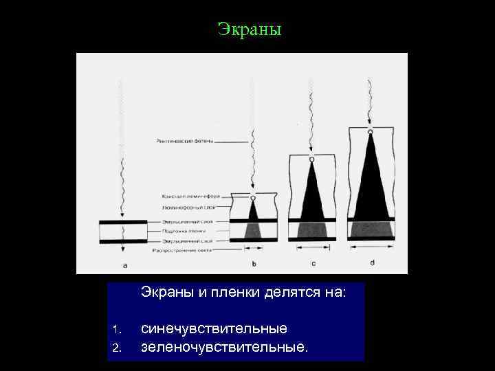 Экраны и пленки делятся на: 1. 2. синечувствительные зеленочувствительные. 