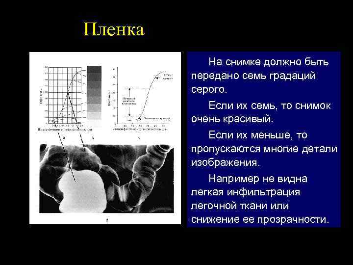 Пленка На снимке должно быть передано семь градаций серого. Если их семь, то снимок