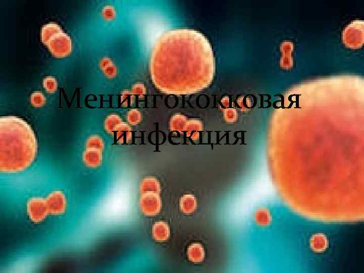 Менингококковая инфекция 