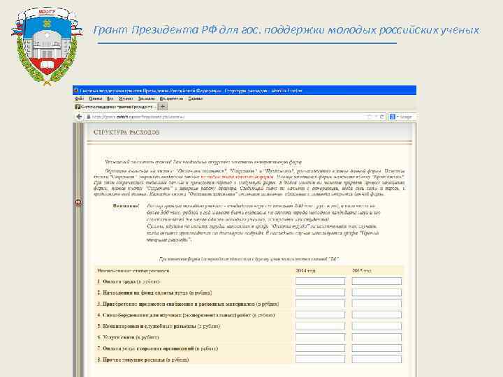 Грант Президента РФ для гос. поддержки молодых российских ученых 