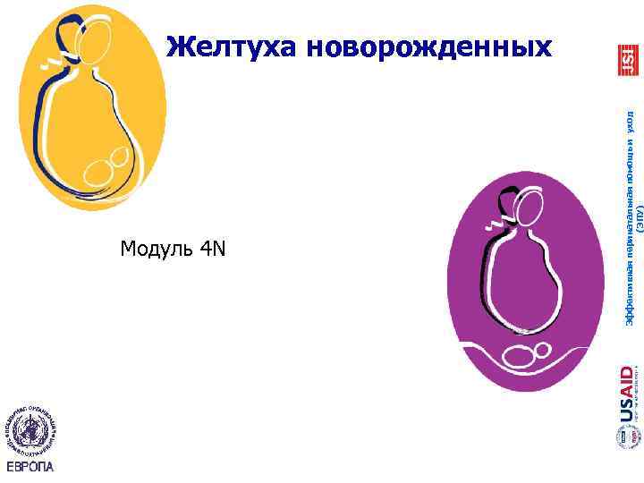 Модуль 4 N Эффективная перинатальная помощь и уход (ЭПУ) Желтуха новорожденных 