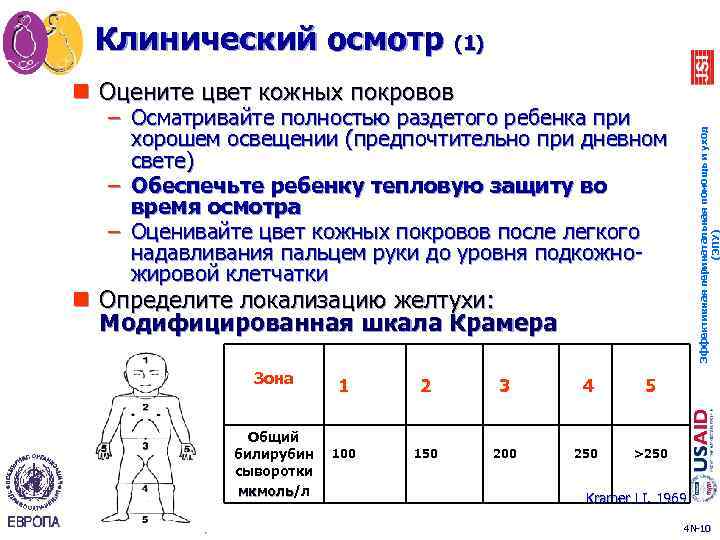 Клинический осмотр (1) n Оцените цвет кожных покровов Эффективная перинатальная помощь и уход (ЭПУ)