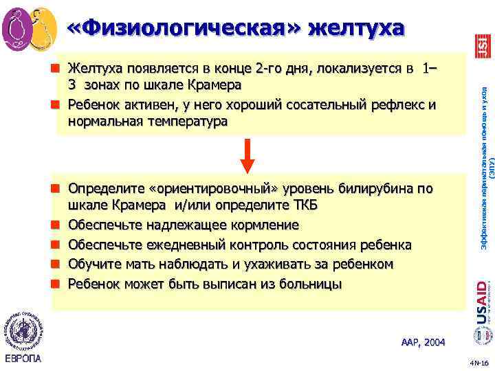 n Желтуха появляется в конце 2 -го дня, локализуется в 1– 3 зонах по
