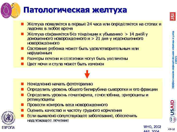 n Желтуха появляется в первые 24 часа или определяется на стопах и ладонях в