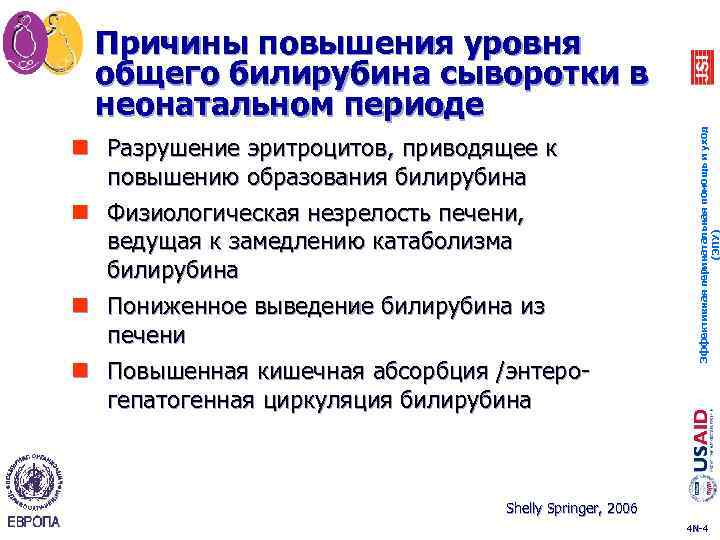 n Разрушение эритроцитов, приводящее к повышению образования билирубина n Физиологическая незрелость печени, ведущая к