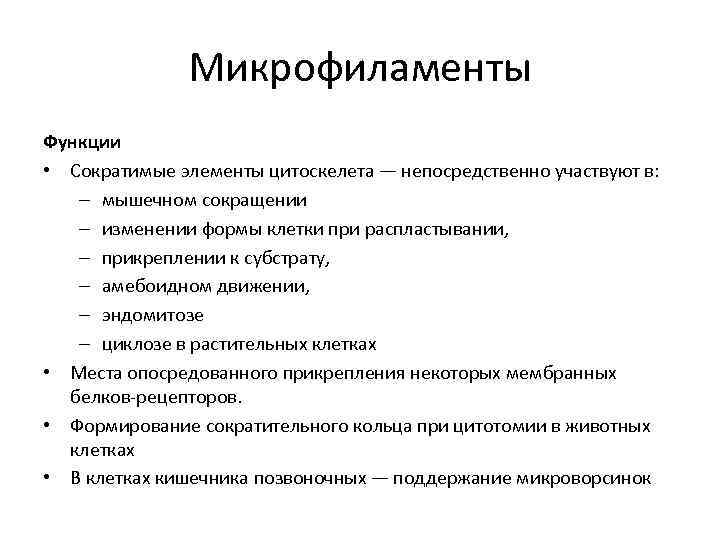     Микрофиламенты Функции • Сократимые элементы цитоскелета — непосредственно участвуют в: