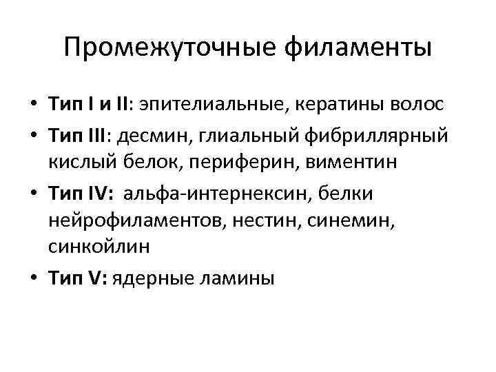   Промежуточные филаменты • Тип I и II: эпителиальные, кератины волос • Тип