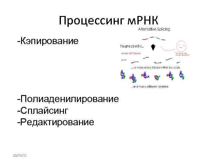   Процессинг м. РНК  -Кэпирование  -Полиаденилирование  -Сплайсинг  -Редактирование 