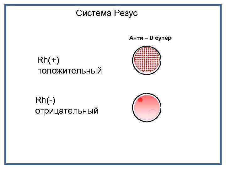 Система Резус Анти – D супер Rh(+) положительный Rh(-) отрицательный 