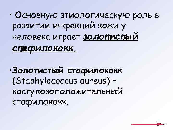  • Основную этиологическую роль в развитии инфекций кожи у человека играет золотистый стафилококк.