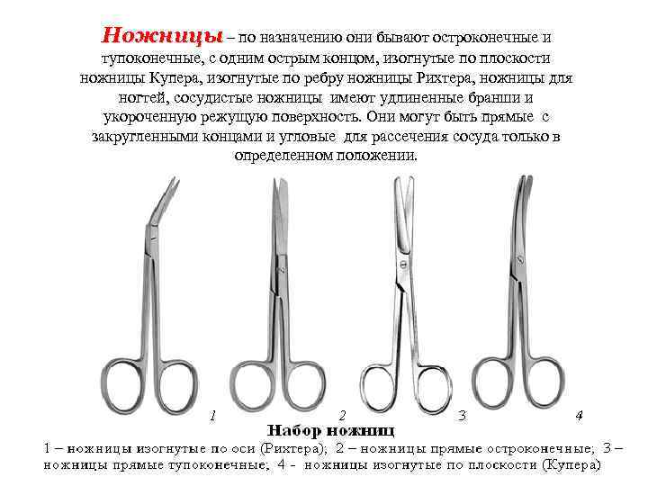 Ножницы – по назначению они бывают остроконечные и тупоконечные, с одним острым концом, изогнутые