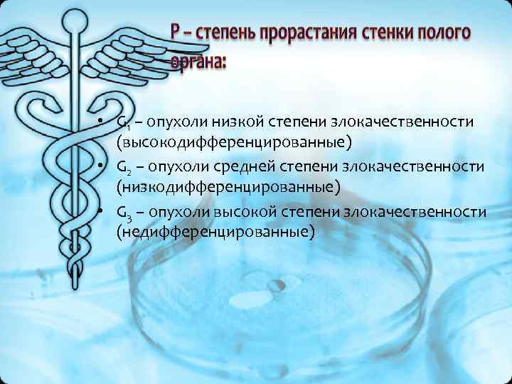 • G 1 – опухоли низкой степени злокачественности (высокодифференцированные) • G 2 • G 1 – опухоли низкой степени злокачественности (высокодифференцированные) • G 2