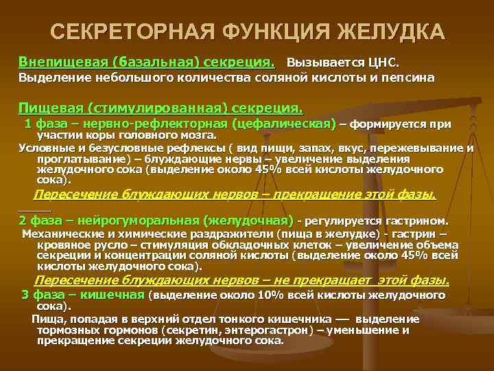   СЕКРЕТОРНАЯ ФУНКЦИЯ ЖЕЛУДКА Внепищевая (базальная) секреция. Вызывается ЦНС. Выделение небольшого количества соляной