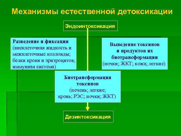 Механизмы естественной детоксикации     Эндоинтоксикация Разведение и фиксация   