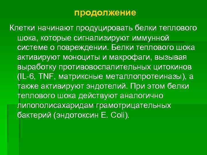     продолжение Клетки начинают продуцировать белки теплового  шока, которые сигнализируют