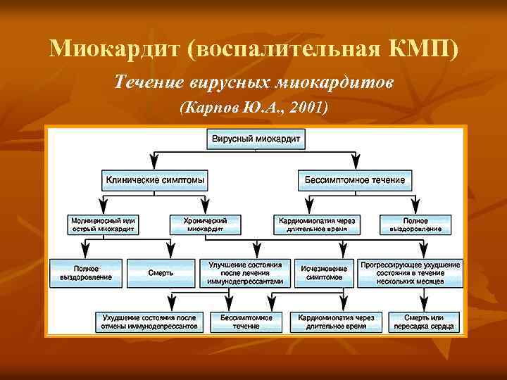 Миокардит (воспалительная КМП) Течение вирусных миокардитов (Карпов Ю. А. , 2001) 