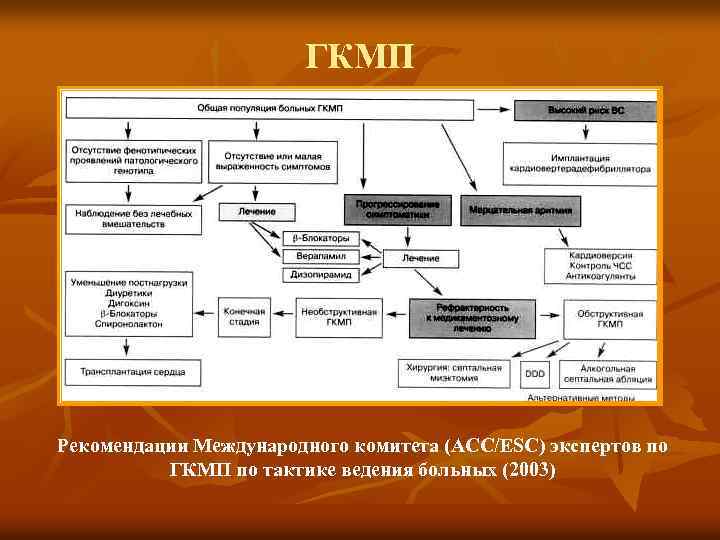 ГКМП Рекомендации Международного комитета (ACC/ESC) экспертов по ГКМП по тактике ведения больных (2003) 