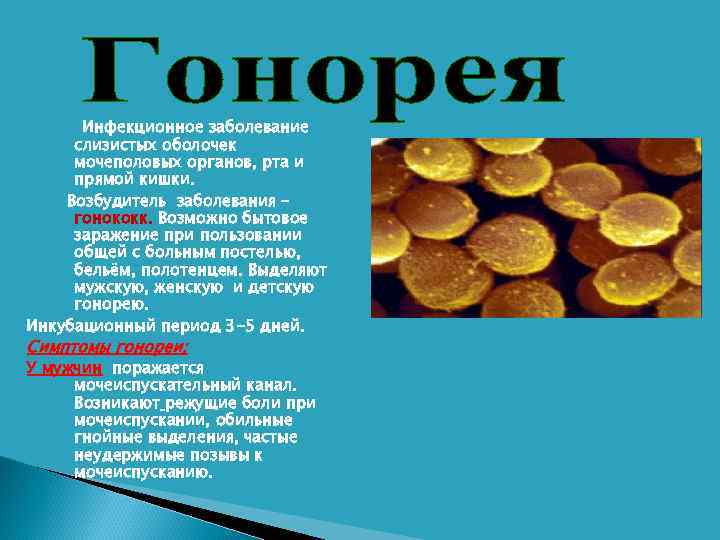  Инфекционное заболевание слизистых оболочек мочеполовых органов, рта и прямой кишки. Возбудитель заболевания –