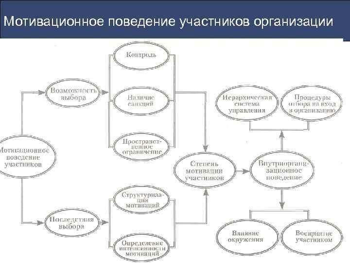 Мотивационное поведение участников организации 