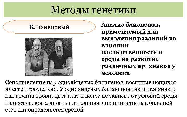 Близнецовый метод в биологии. Близнецовый метод изучения наследственности человека. Близнецовый метод исследования генетики человека используется для. Методы изучения генетики человека близнецовый. Методы биологических исследований близнецовый.