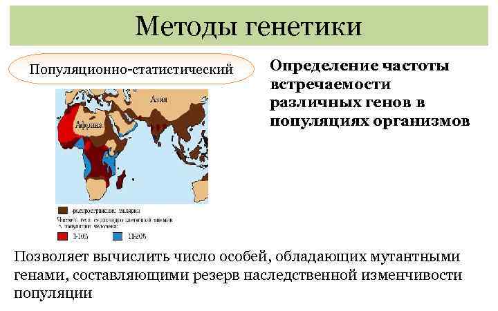 Популяционно статистический метод генетики презентация