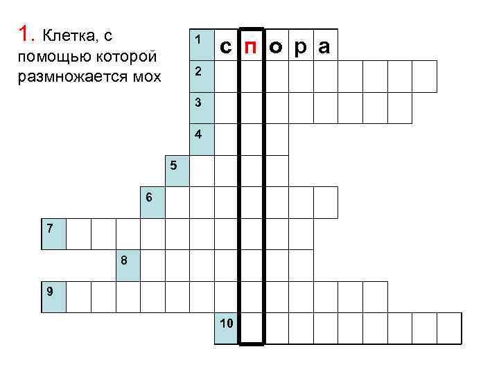 1. Клетка, с 1 помощью которой размножается мох с п о р а 2