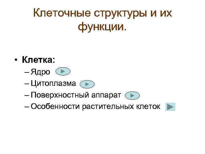 Клеточные структуры и их функции. • Клетка: – Ядро – Цитоплазма – Поверхностный аппарат