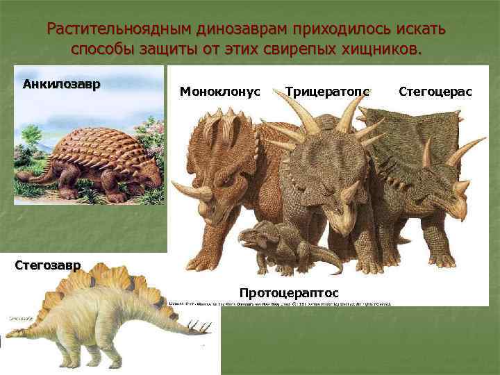   Растительноядным динозаврам приходилось искать  способы защиты от этих свирепых хищников. 