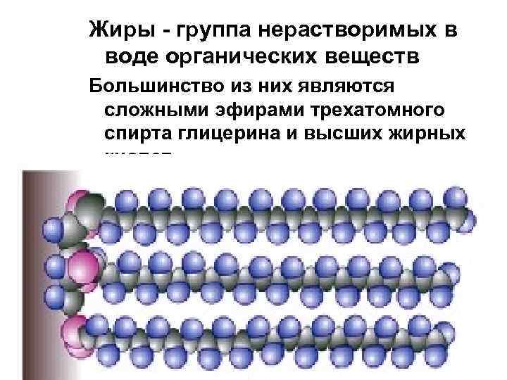 Жиры - группа нерастворимых в воде органических веществ Большинство из них являются сложными эфирами