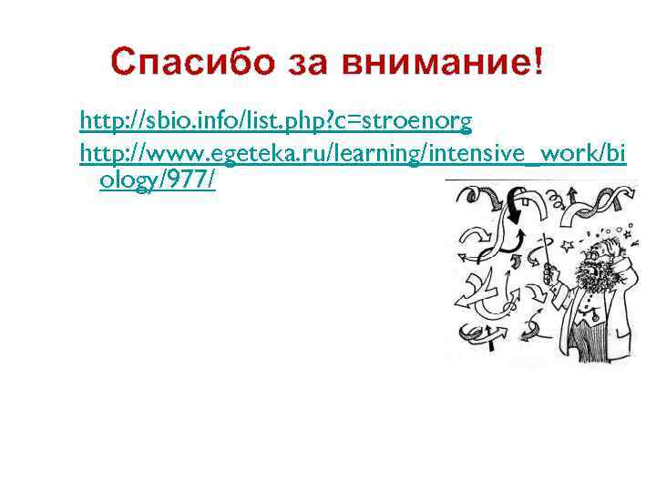  Спасибо за внимание! http: //sbio. info/list. php? c=stroenorg http: //www. egeteka. ru/learning/intensive_work/bi 