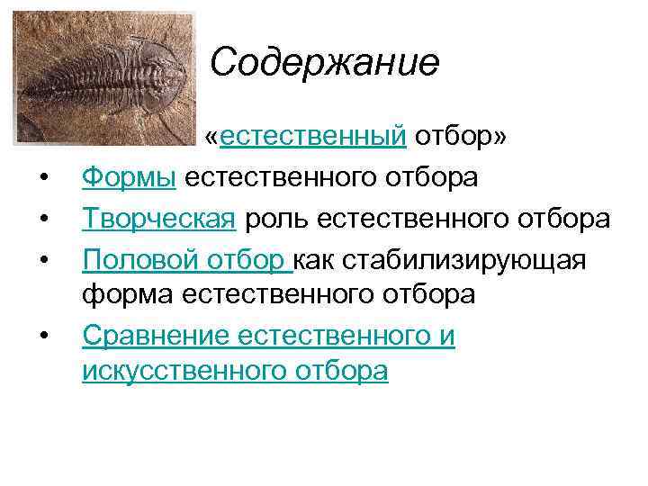   Содержание •  Понятие «естественный отбор»  •  Формы естественного отбора