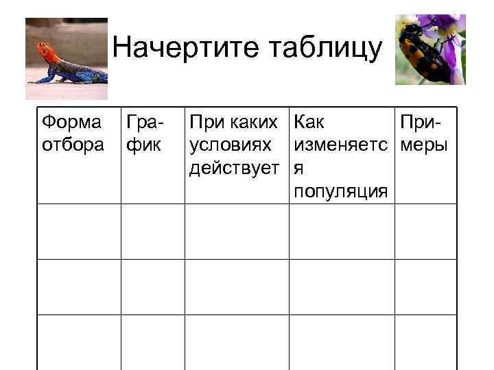    Начертите таблицу Форма  Гра-  При каких Как  При-