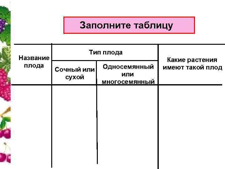    Заполните таблицу     Тип плода Название  
