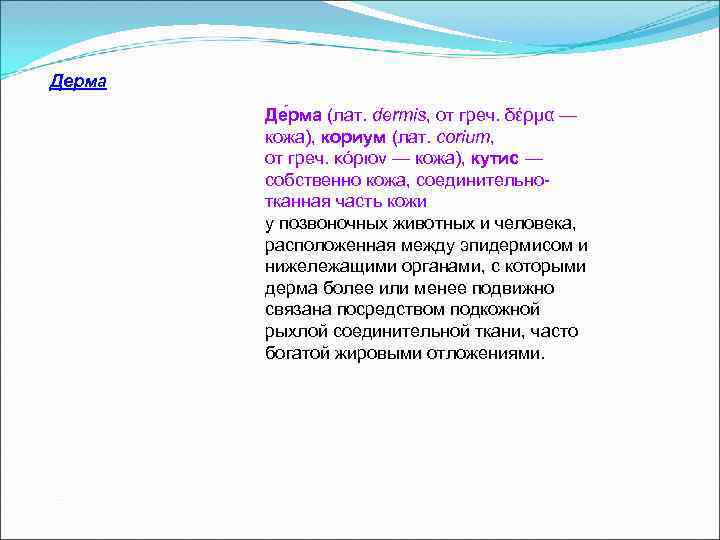 Дерма   Де рма (лат. dermis, от греч. δέρμα —   кожа),