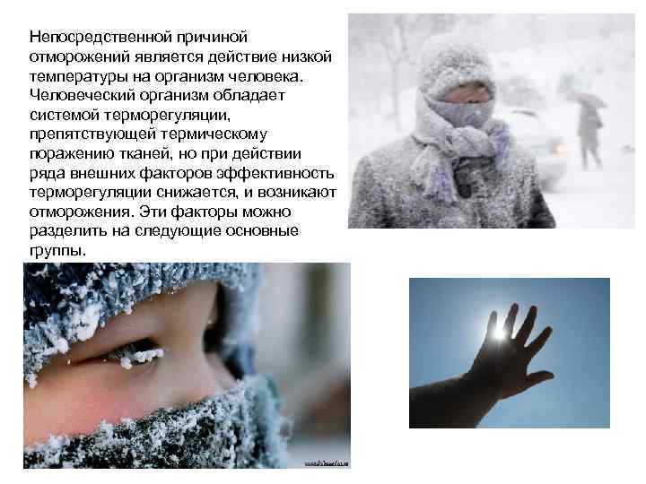 Непосредственной причиной отморожений является действие низкой температуры на организм человека.  Человеческий организм обладает