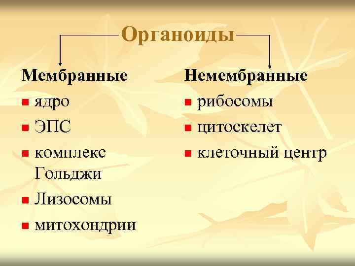   Органоиды Мембранные Немембранные n ядро   n рибосомы n ЭПС 