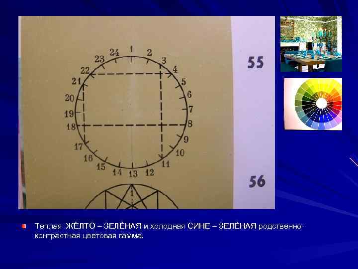 ,   Теплая ЖЁЛТО – ЗЕЛЁНАЯ и холодная СИНЕ – ЗЕЛЁНАЯ родственно- контрастная