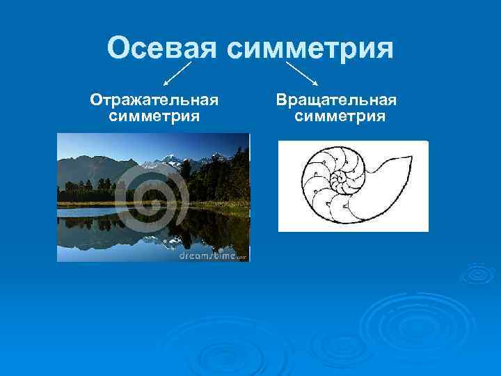  Осевая симметрия Отражательная  Вращательная  симметрия 