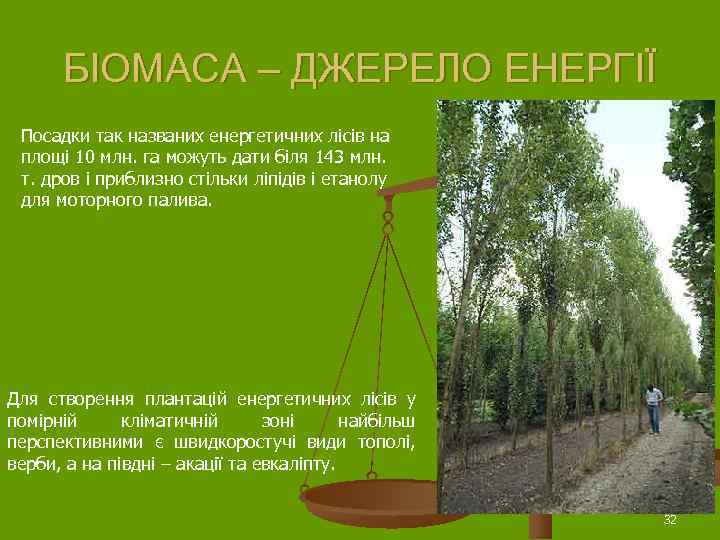  БІОМАСА – ДЖЕРЕЛО ЕНЕРГІЇ Посадки так названих енергетичних лісів на площі 10 млн.