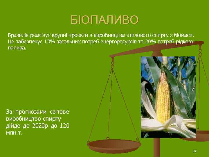     БІОПАЛИВО Бразилія реалізує крупні проекти з виробництва етилового спирту з