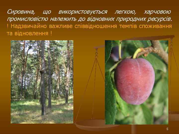 Сировина, що використовується легкою, харчовою промисловістю належить до відновних природних ресурсів. ! Надзвичайно важливе