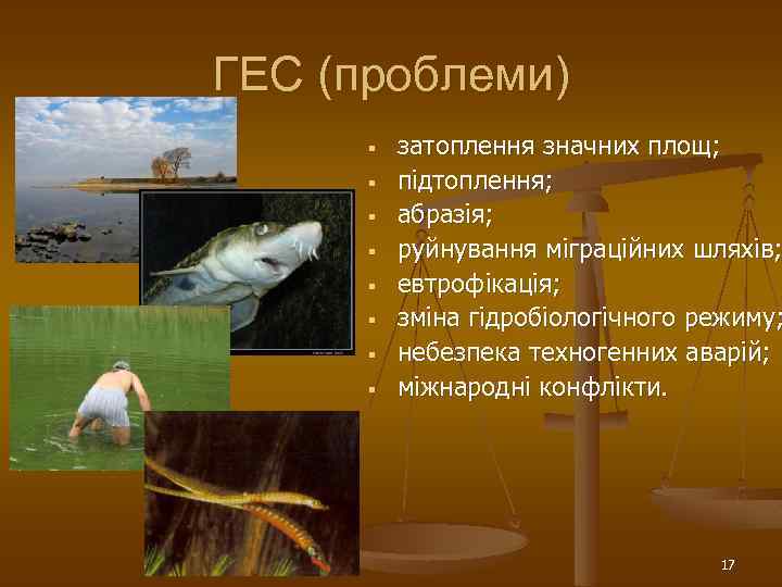 ГЕС (проблеми) § § § § затоплення значних площ; підтоплення; абразія; руйнування міграційних шляхів;