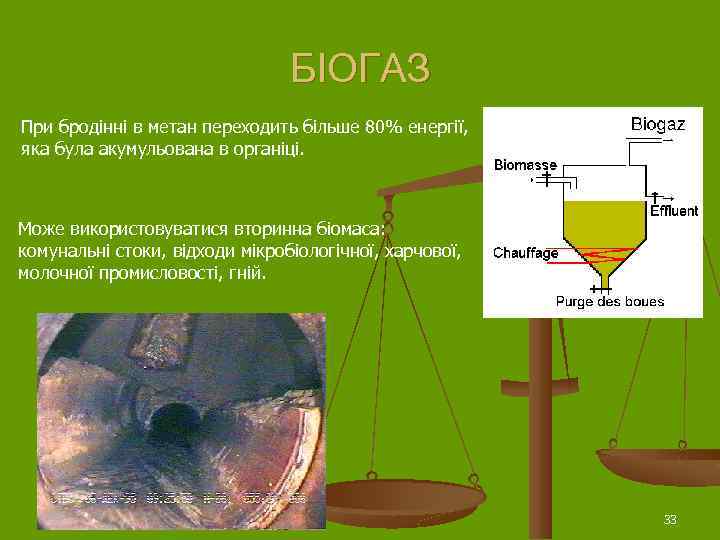 БІОГАЗ При бродінні в метан переходить більше 80% енергії, яка була акумульована в органіці.